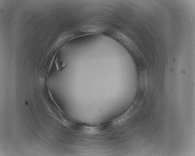 X0000081290167200701251702