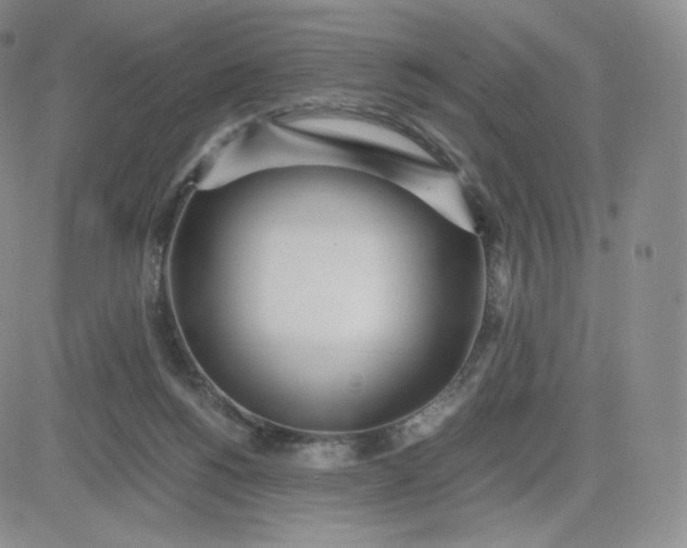 X0000081290168200701251702