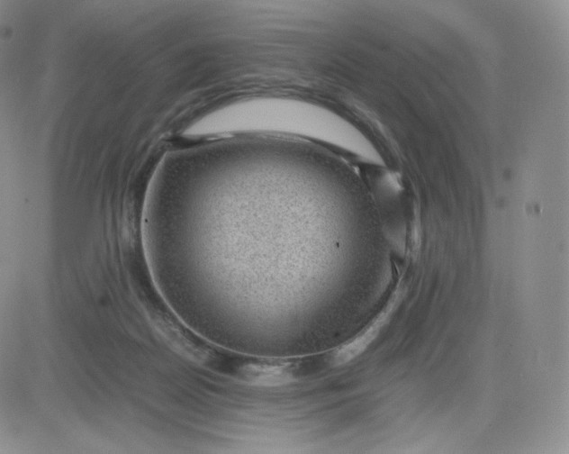 X0000081290170200701251702