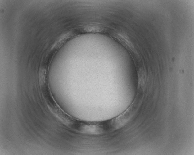 X0000081290171200701251702