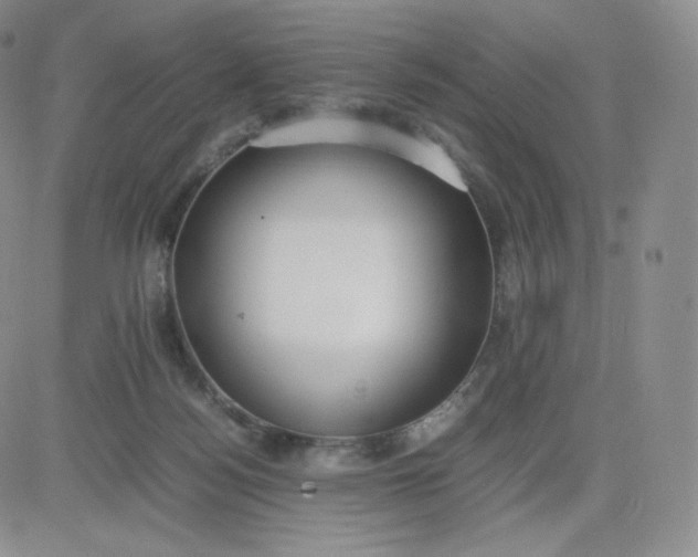 X0000081290172200701251702