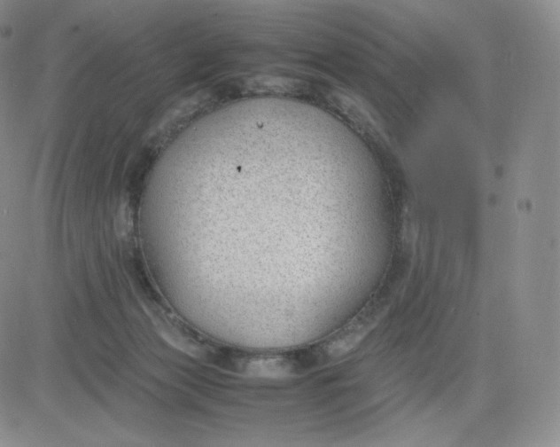 X0000081290173200701251702