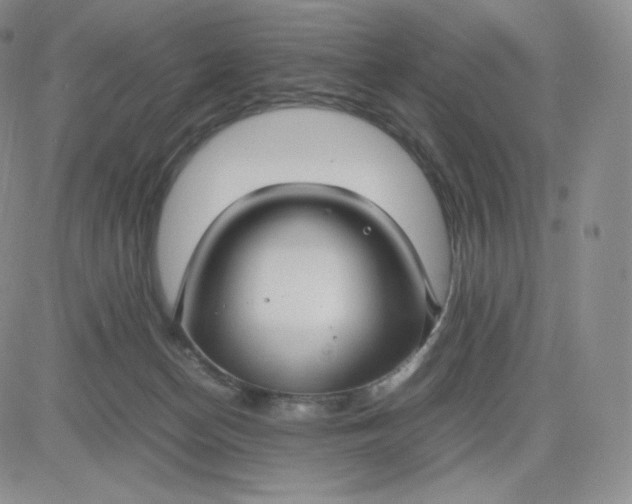 X0000081290174200701251702