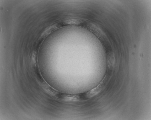 X0000081290175200701251702