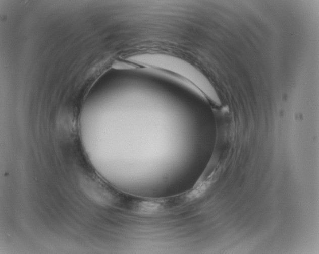 X0000081290176200701251702