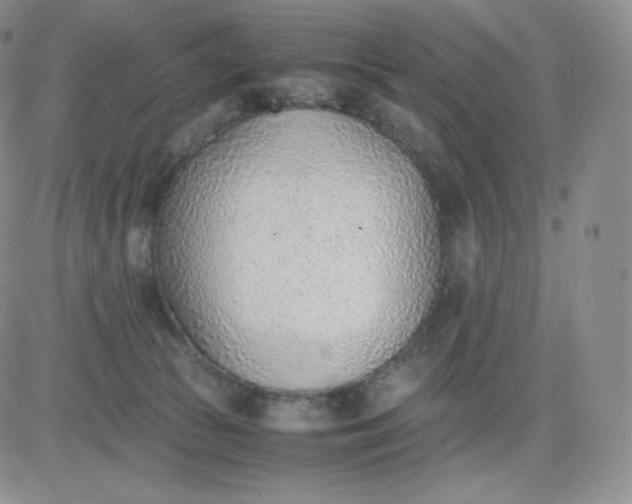 X0000081290177200701251702