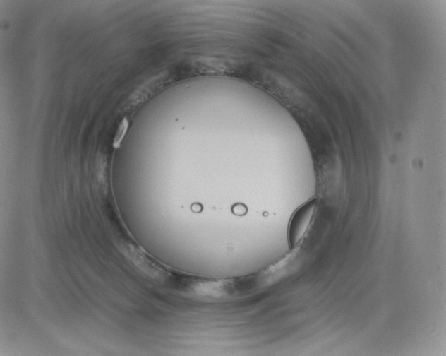 X0000081290178200701251702