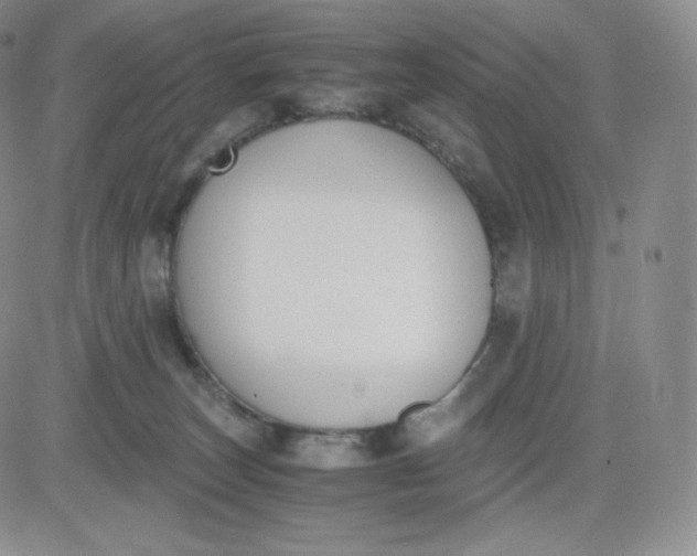 X0000081290179200701251702