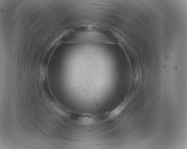 X0000081290180200701251702