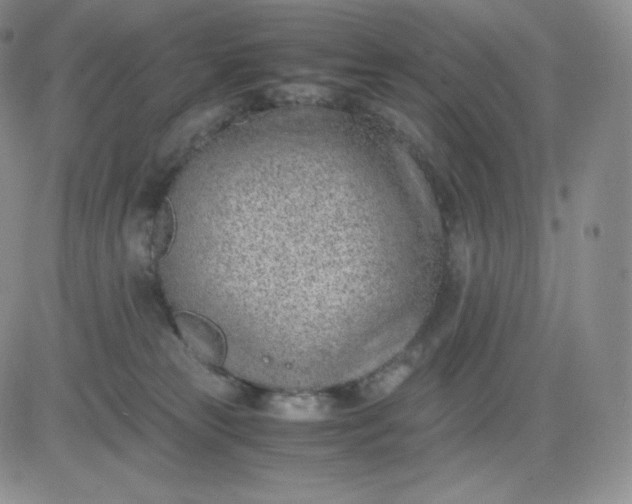 X0000081290181200701251702