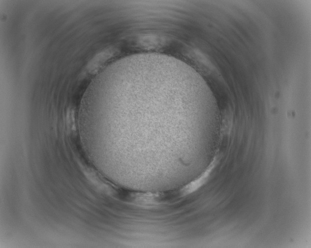 X0000081290182200701251702