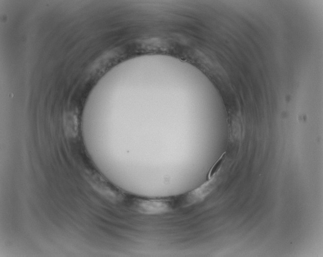 X0000081290183200701251702