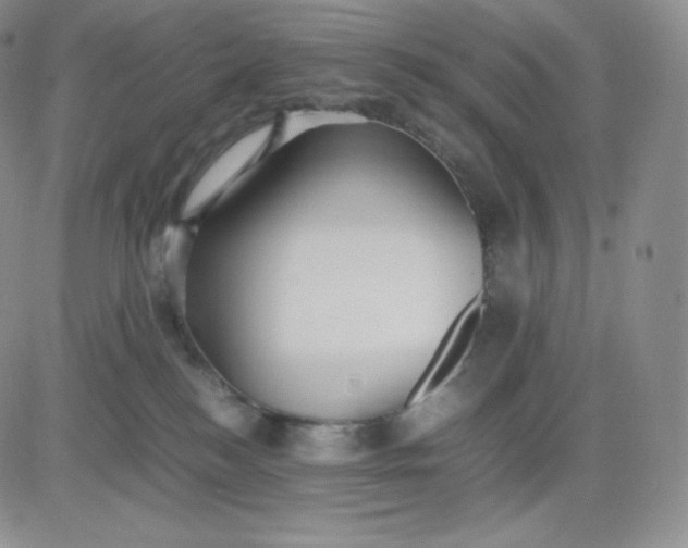 X0000081290184200701251702