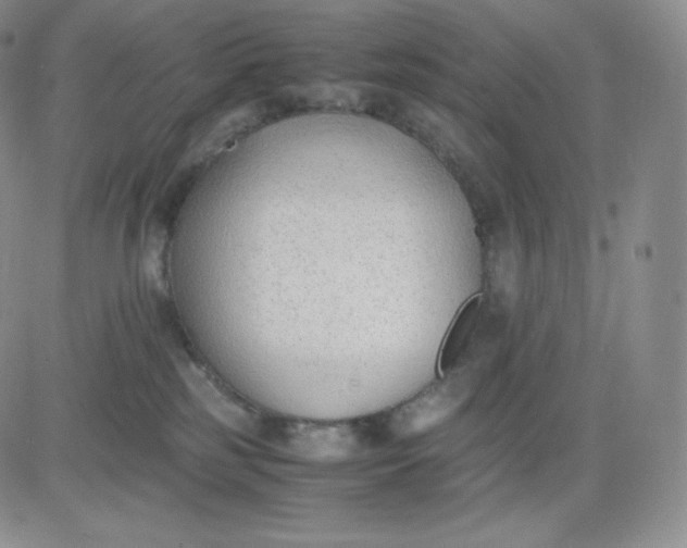 X0000081290185200701251702