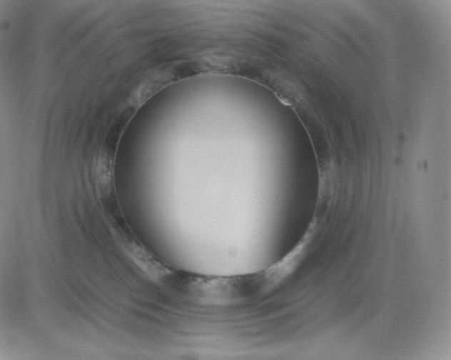 X0000081290186200701251702