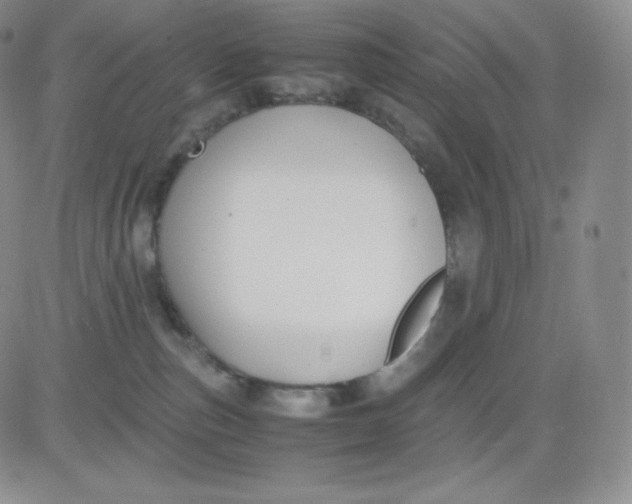 X0000081290187200701251702