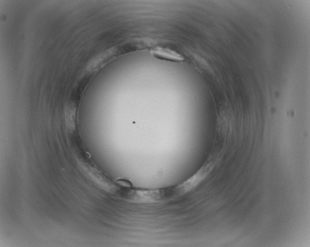 X0000081290188200701251702