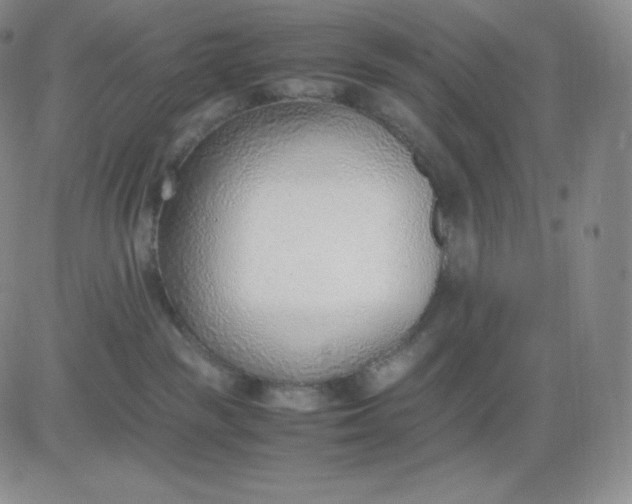 X0000081290189200701251702