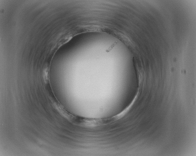 X0000081290190200701251702