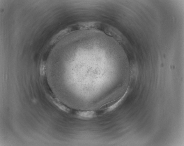 X0000081290191200701251702