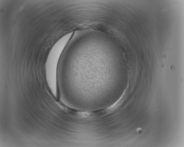 X0000081290192200701251702