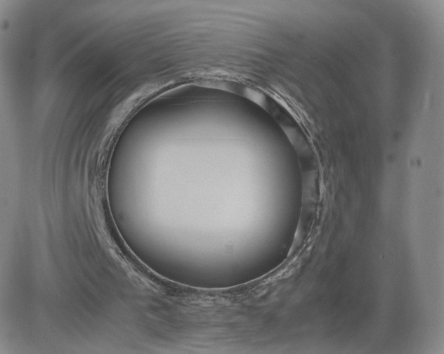 X0000081290193200701251701