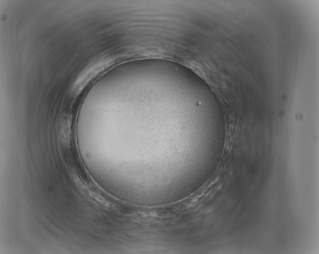 X0000081290194200701251701