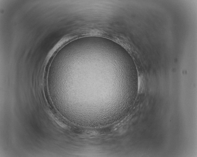 X0000081290195200701251701