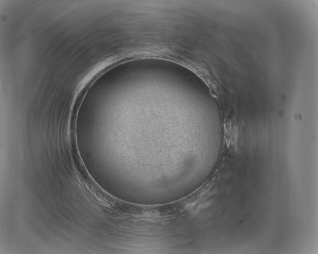 X0000081290196200701251701