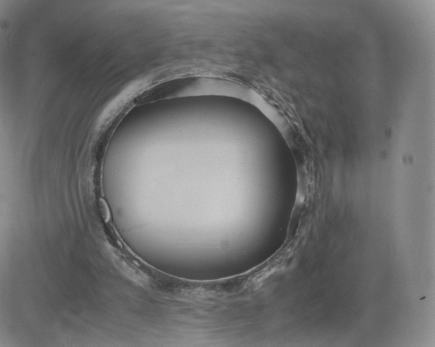 X0000081290197200701251701