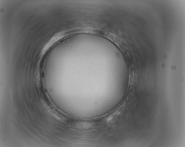 X0000081290198200701251701