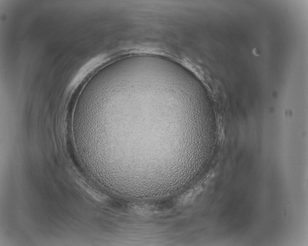 X0000081290199200701251701