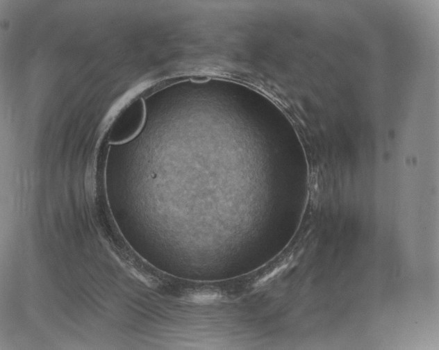 X0000081290200200701251701