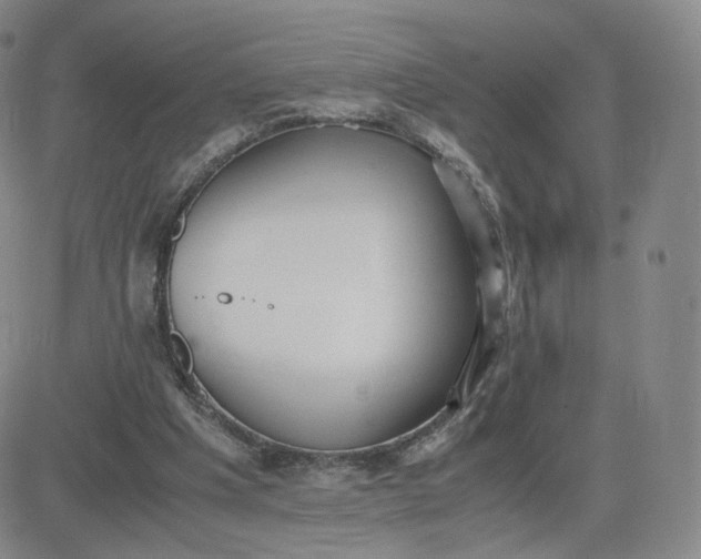 X0000081290201200701251701