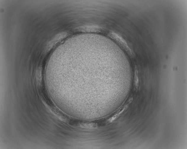 X0000081290202200701251701