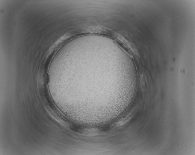 X0000081290203200701251701