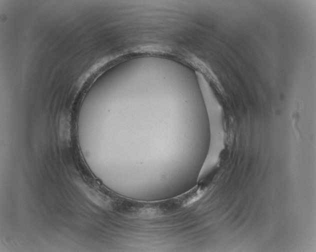 X0000081290204200701251701