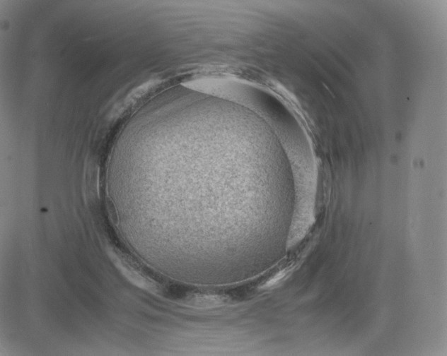 X0000081290205200701251701