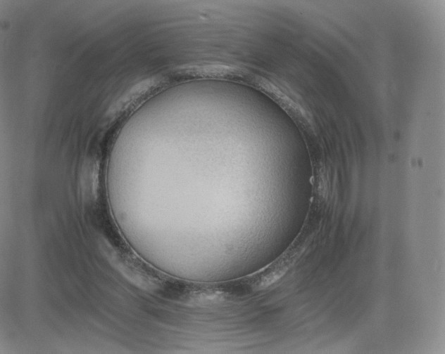 X0000081290206200701251701