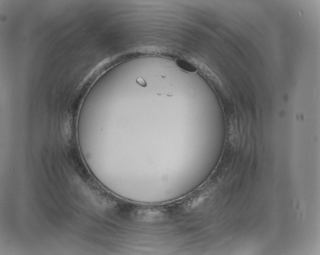 X0000081290208200701251701