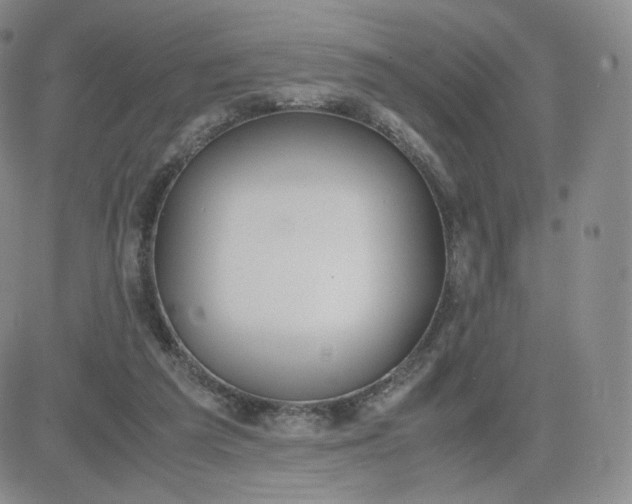 X0000081290209200701251701