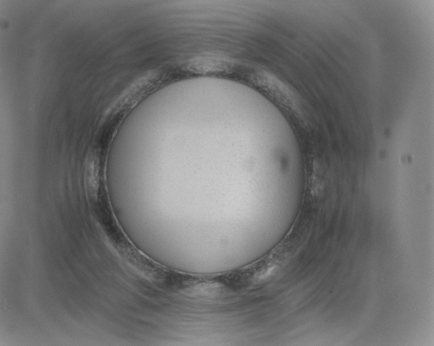 X0000081290210200701251701