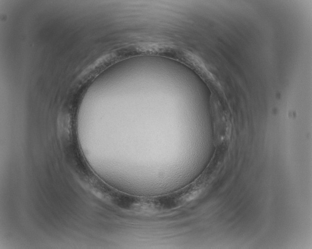 X0000081290211200701251701