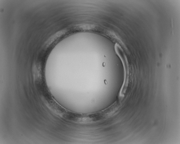 X0000081290212200701251701