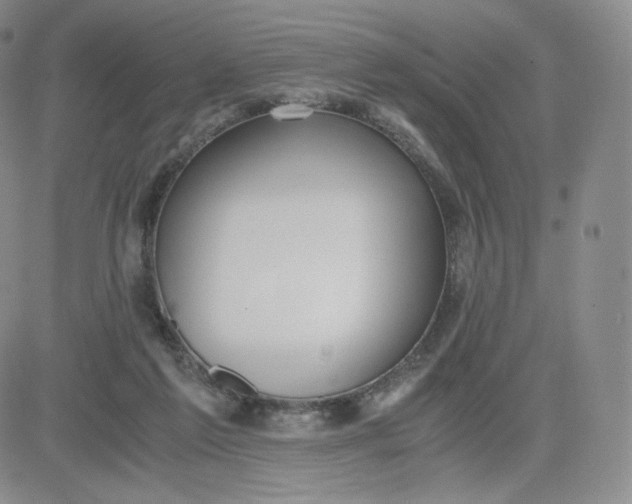 X0000081290213200701251701