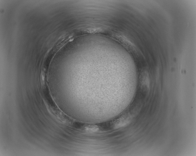 X0000081290214200701251701