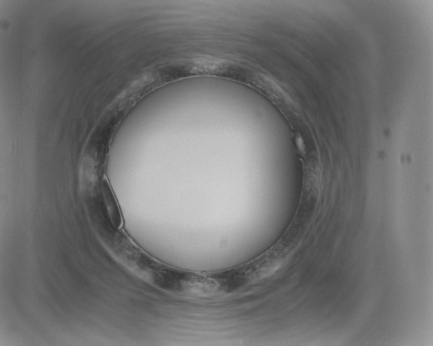 X0000081290215200701251701