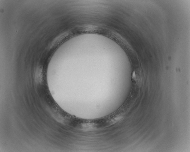 X0000081290216200701251701