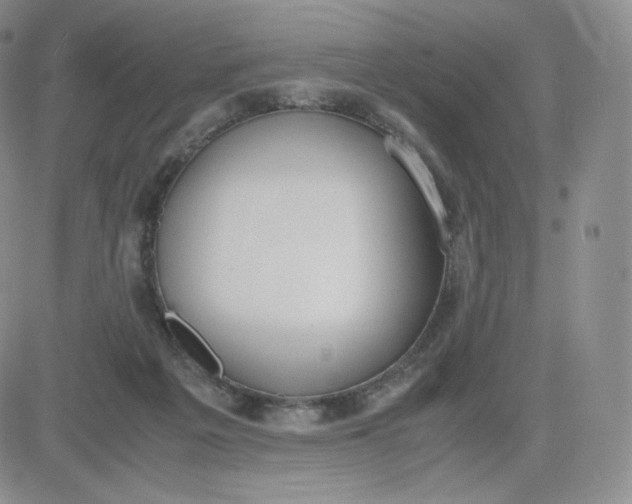 X0000081290217200701251701