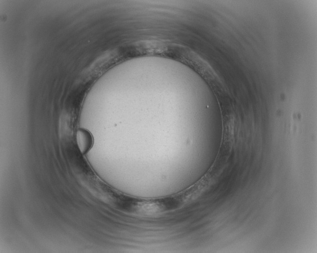 X0000081290218200701251701